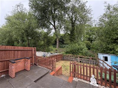 Picture 26